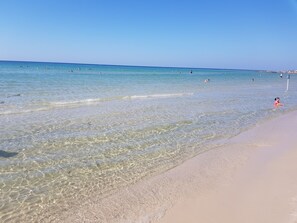On the beach, sun loungers, beach umbrellas, beach towels - Royal Thalassa Monastir (Monastir)