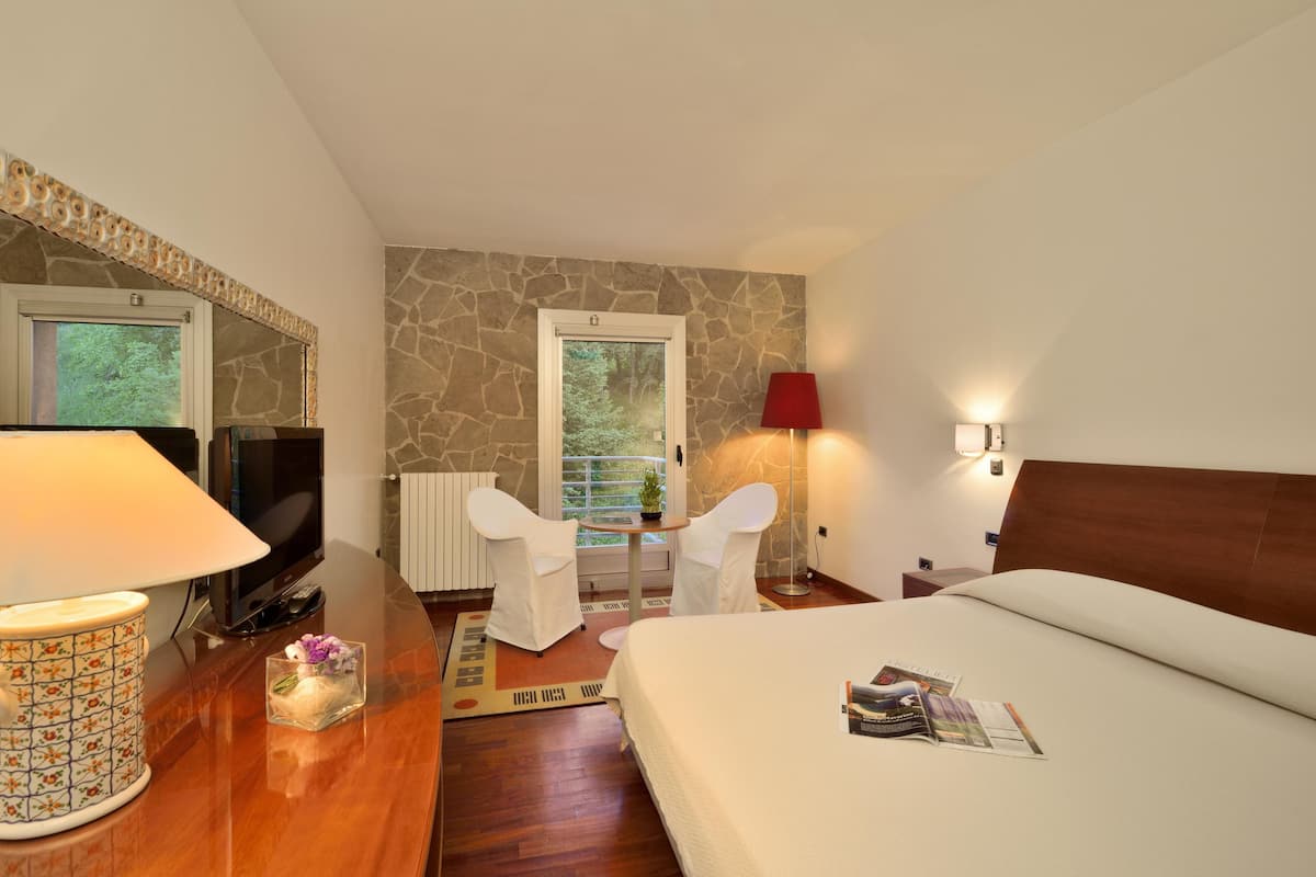 Hotelkamer met een bed, bureau met lamp, televisie, twee stoelen, een klein tafeltje met een plant en een raam met uitzicht op bomen.