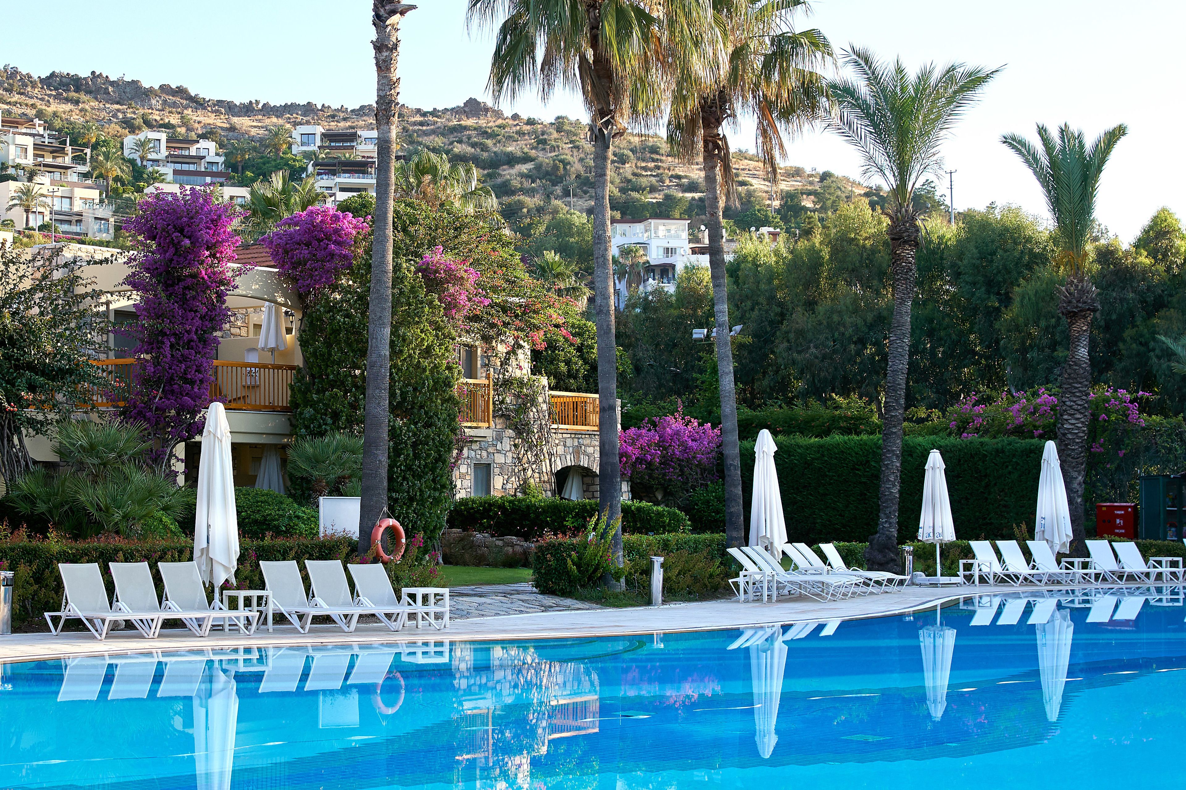 Une piscine entourée de palmiers et de bougainvilliers violets, avec des chaises longues et des parasols à proximité.