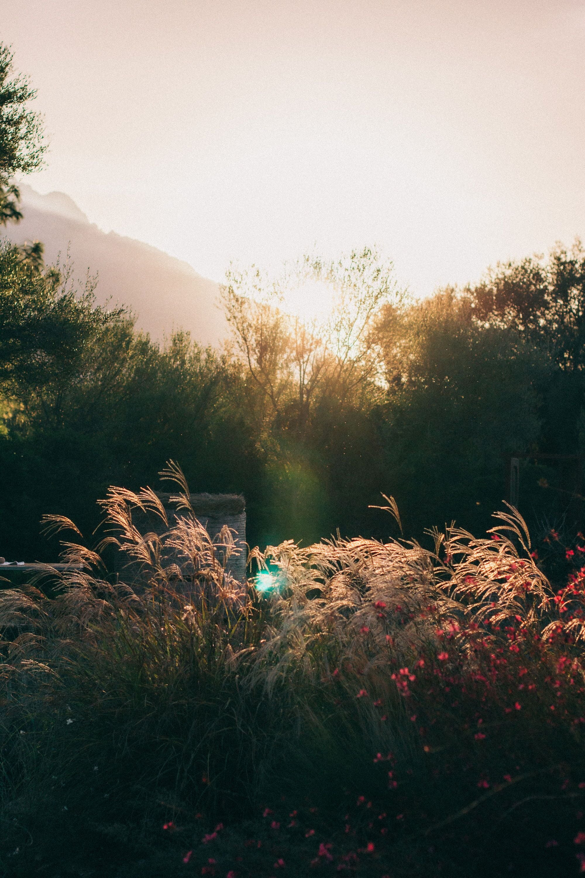 Foto - Su Gologone Experience Hotel