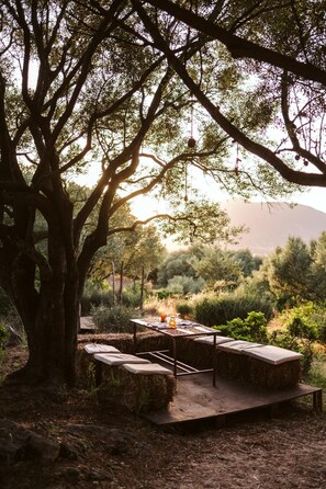 Un ambiente rústico para comer al aire libre con una mesa y bancos bajo un árbol grande, rodeado de vegetación natural y una montaña distante.