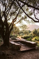 Un ambiente rústico para comer al aire libre con una mesa y bancos bajo un árbol grande, rodeado de vegetación natural y una montaña distante.