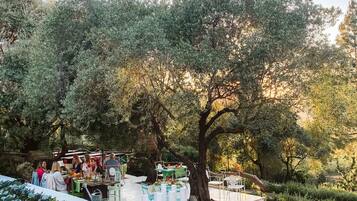 Un área de comedor al aire libre con mesas y sillas, rodeada de árboles y follaje.