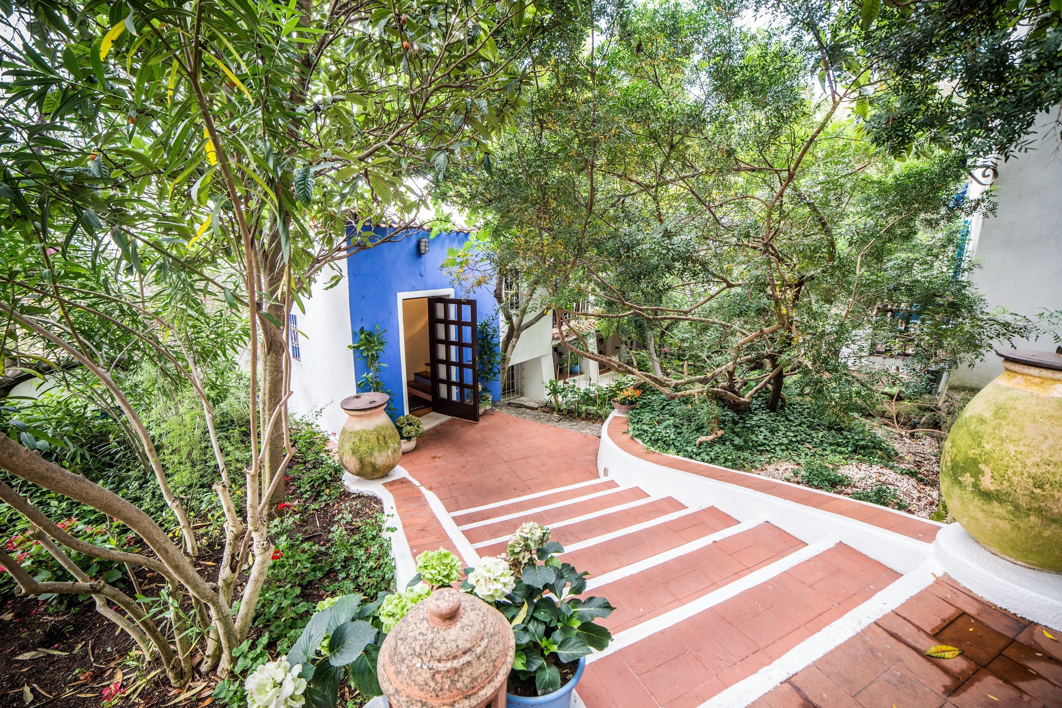 Un sendero en un jardín conduce a una puerta azul, rodeada de abundante follaje y plantas en macetas.
