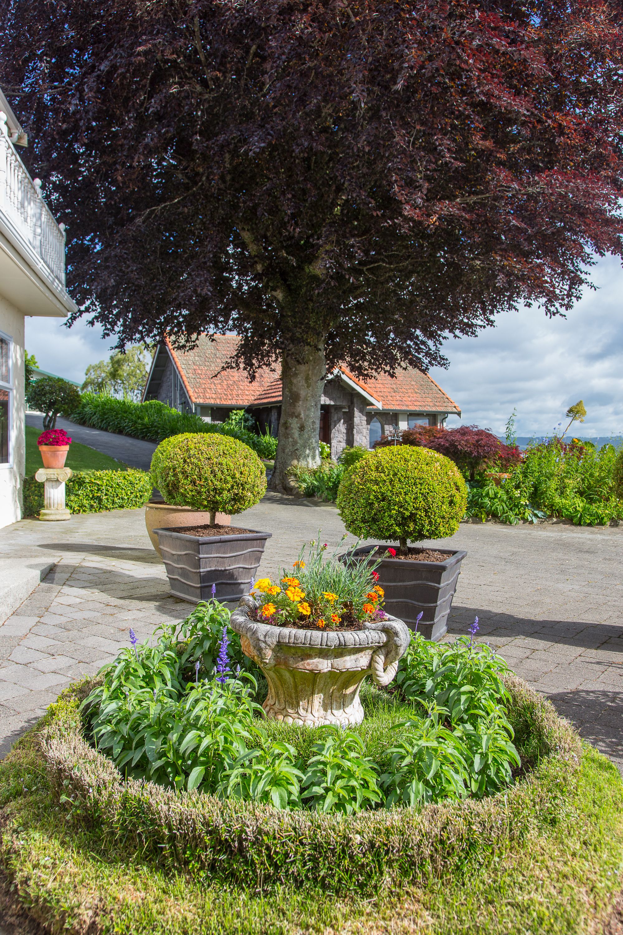 A landscaped garden with a large tree, two potted topiaries, and a variety of flowering plants.