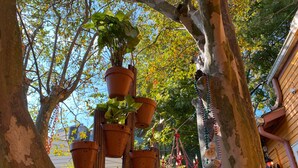 A tree with multiple hanging pots containing plants. - Blue60 Marigny Inn (New Orleans)