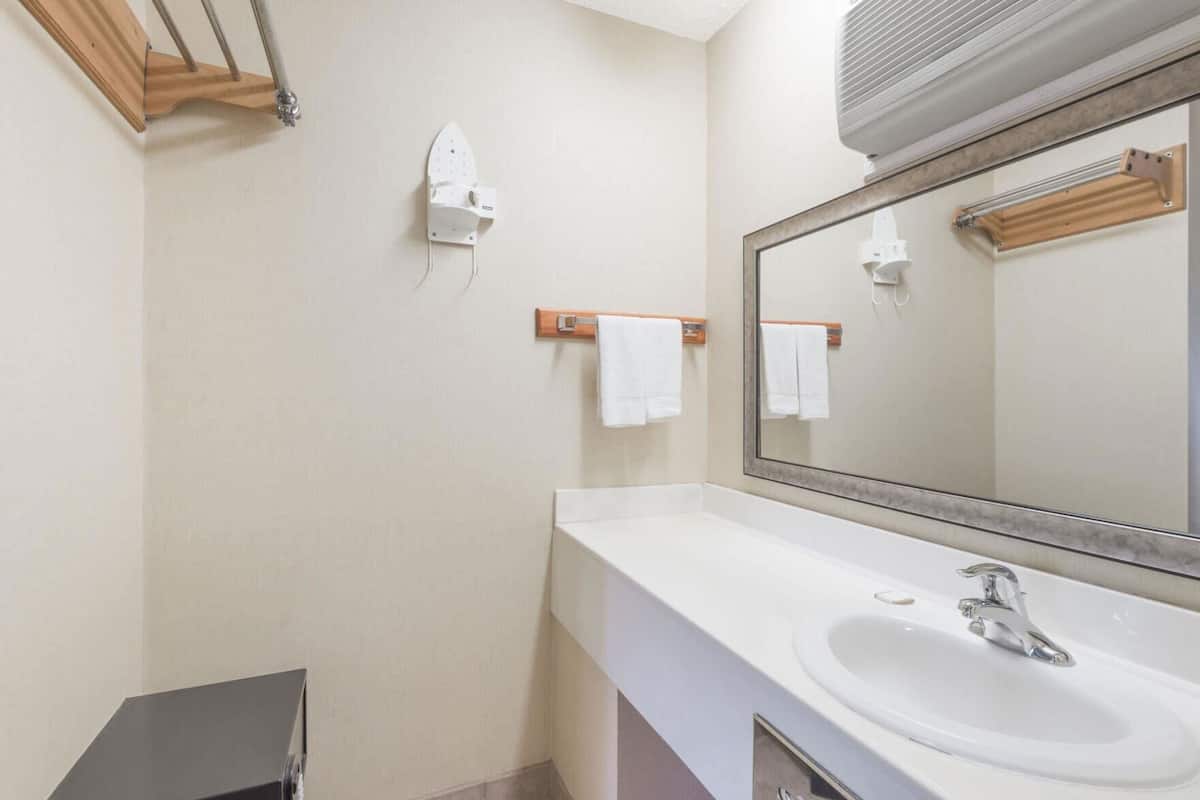 A bathroom with a white sink, a large mirror, and two towel racks.