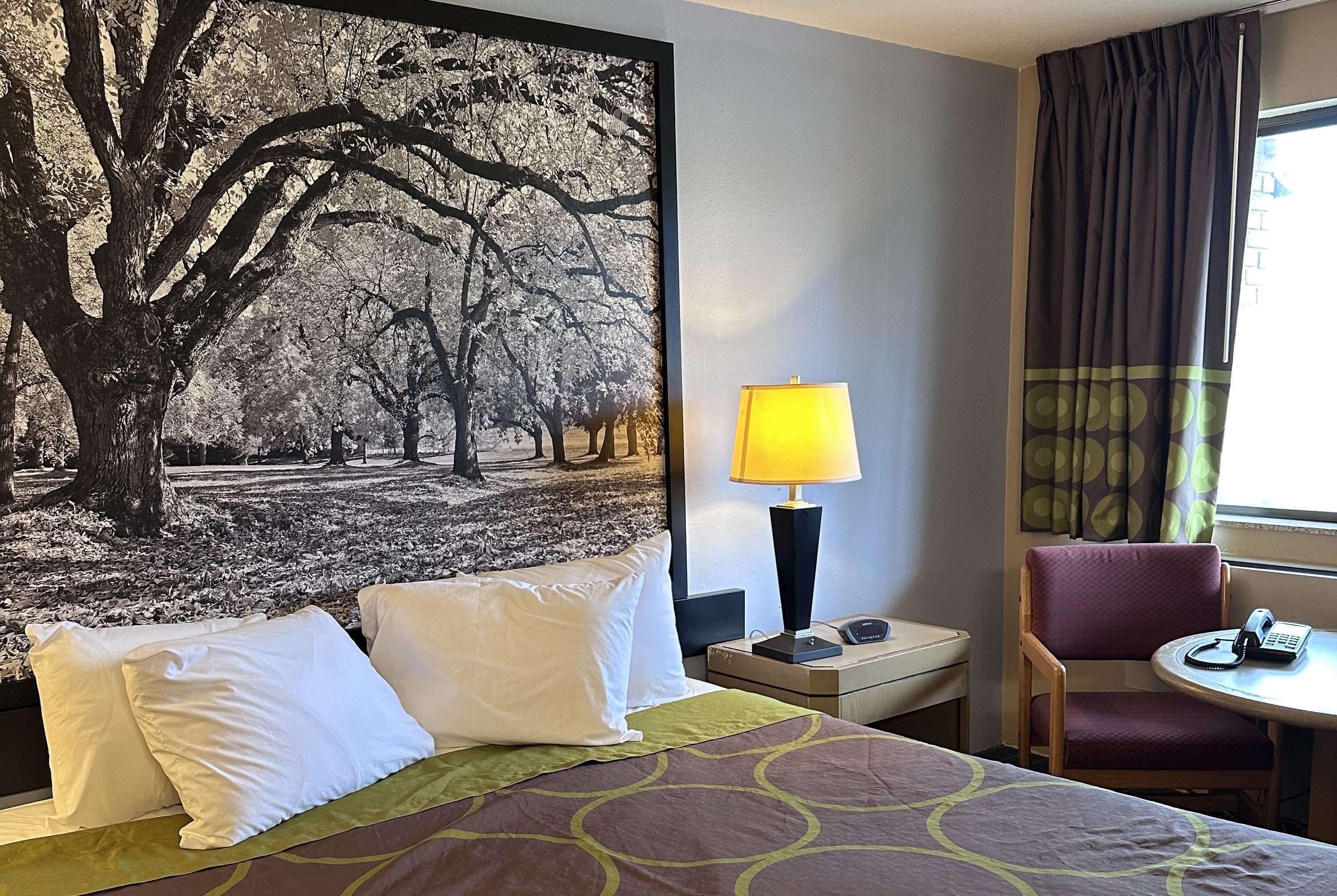 Habitación de hotel con cama, almohadas, mesita de noche con lámpara, una silla y un cuadro grande con un árbol.