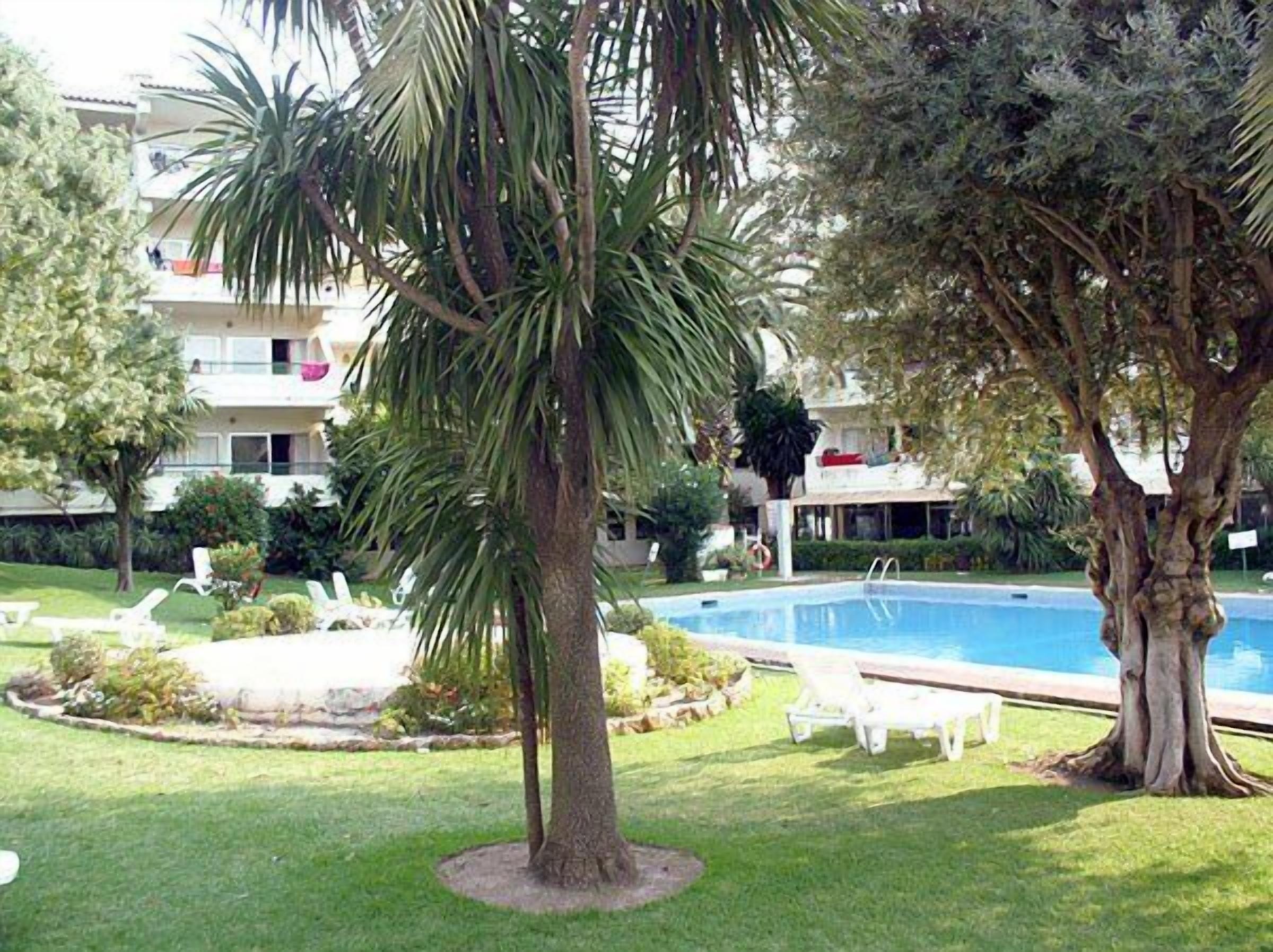 A pool area with a palm tree, a lounge chair, and a building in the background.