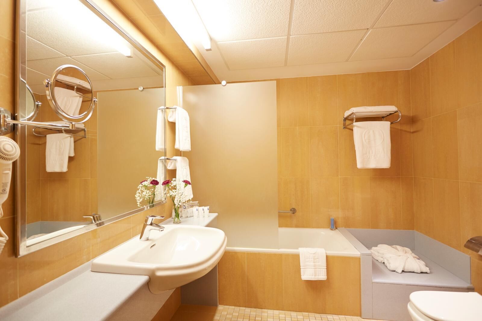 hair dryer, bidet, towels, soap