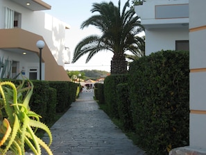 A paved pathway flanked by neatly trimmed hedges and a palm tree, leading to a building with a white facade and a door labeled "Reception". - Meliton Hotel (Rhodes)