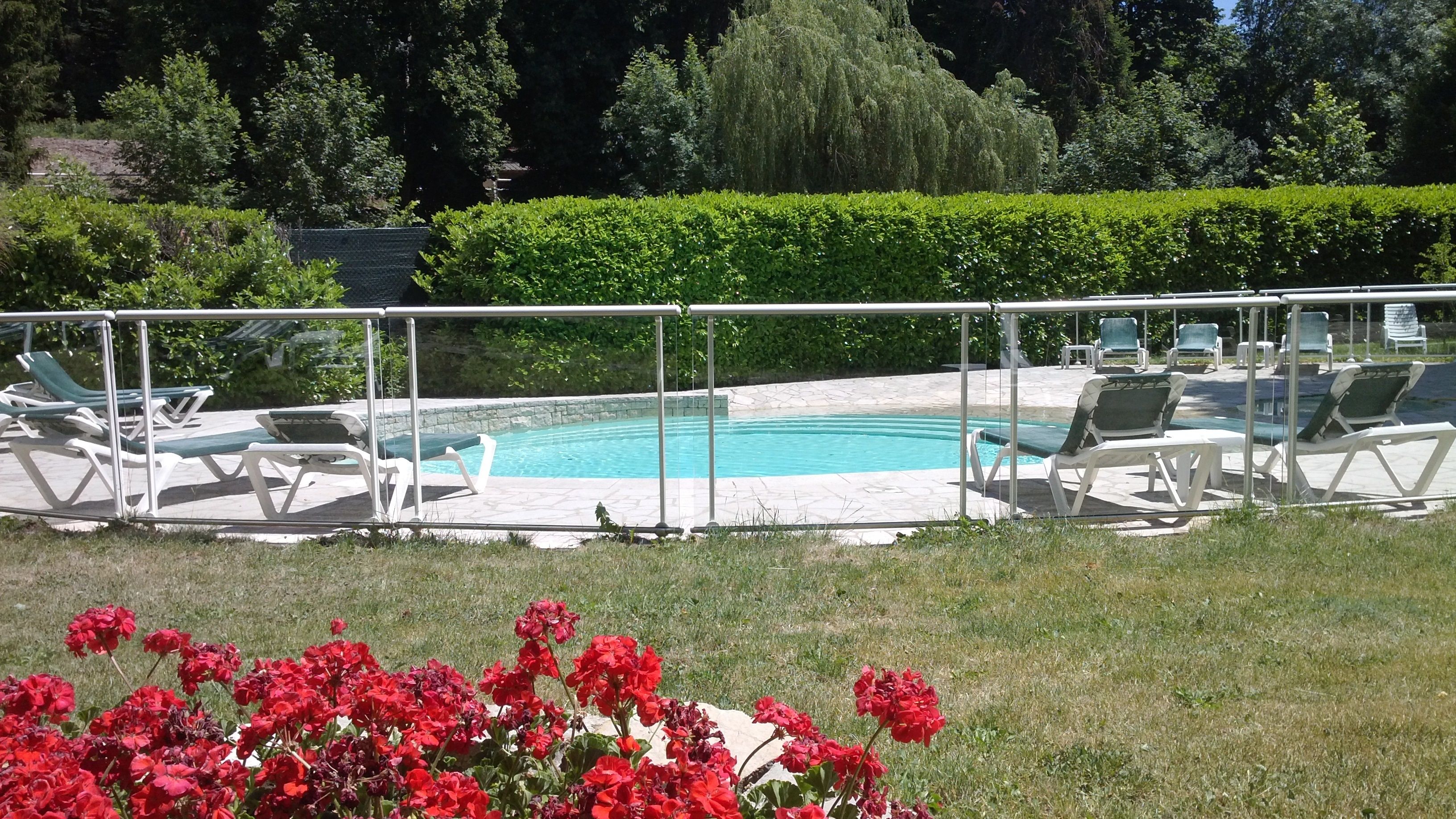 A swimming pool with lounge chairs and a hedge in the background.