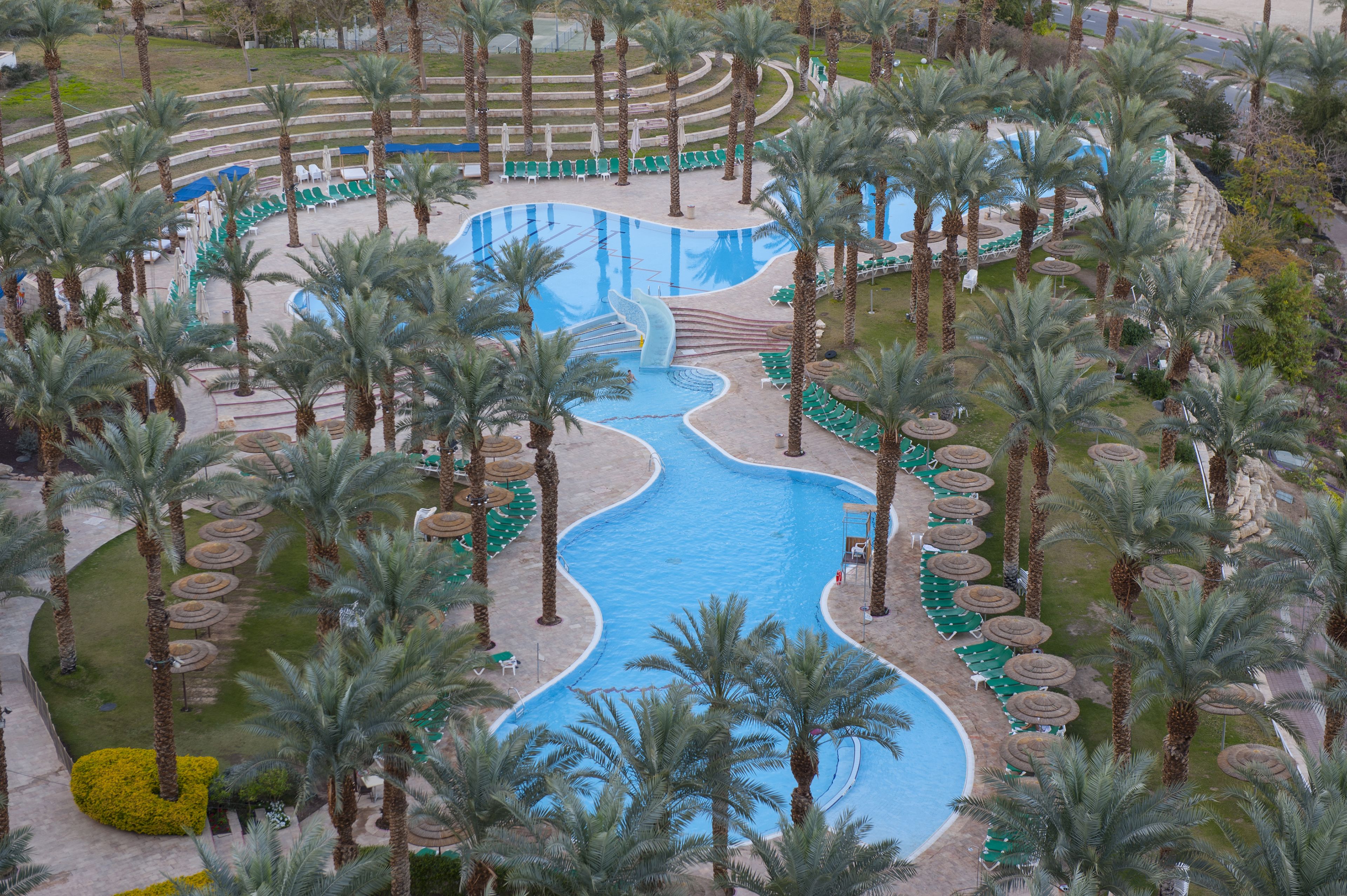 Une grande piscine à la forme sinueuse, entourée de palmiers et de chaises longues.