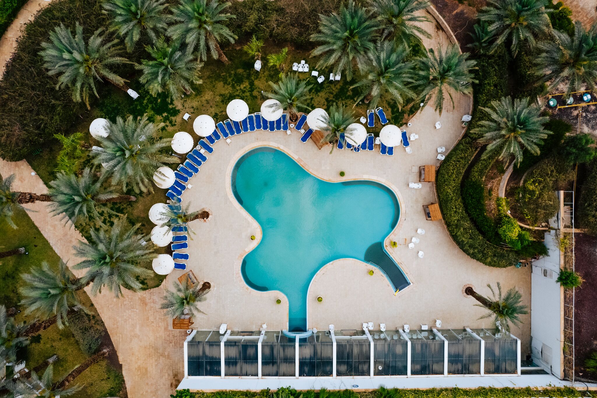 Vista aérea de una piscina rodeada de palmeras y sillas de descanso.