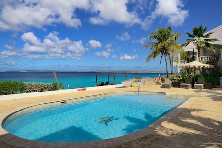 Outdoor pool, sun loungers