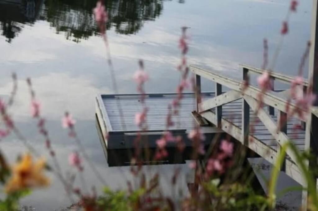 Un muelle de madera se adentra en aguas tranquilas, con reflejos del cielo y la vegetación circundante.