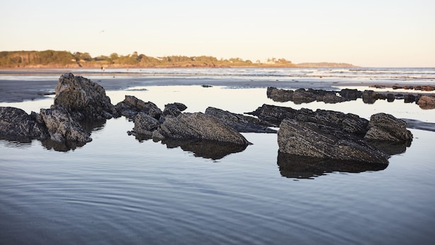 A calm beach with large rocks in the water and a distant shoreline with trees. - Higgins Beach Inn (Scarborough)