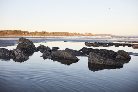 ์๋ฐ ์์ค์ ์ ๋ง