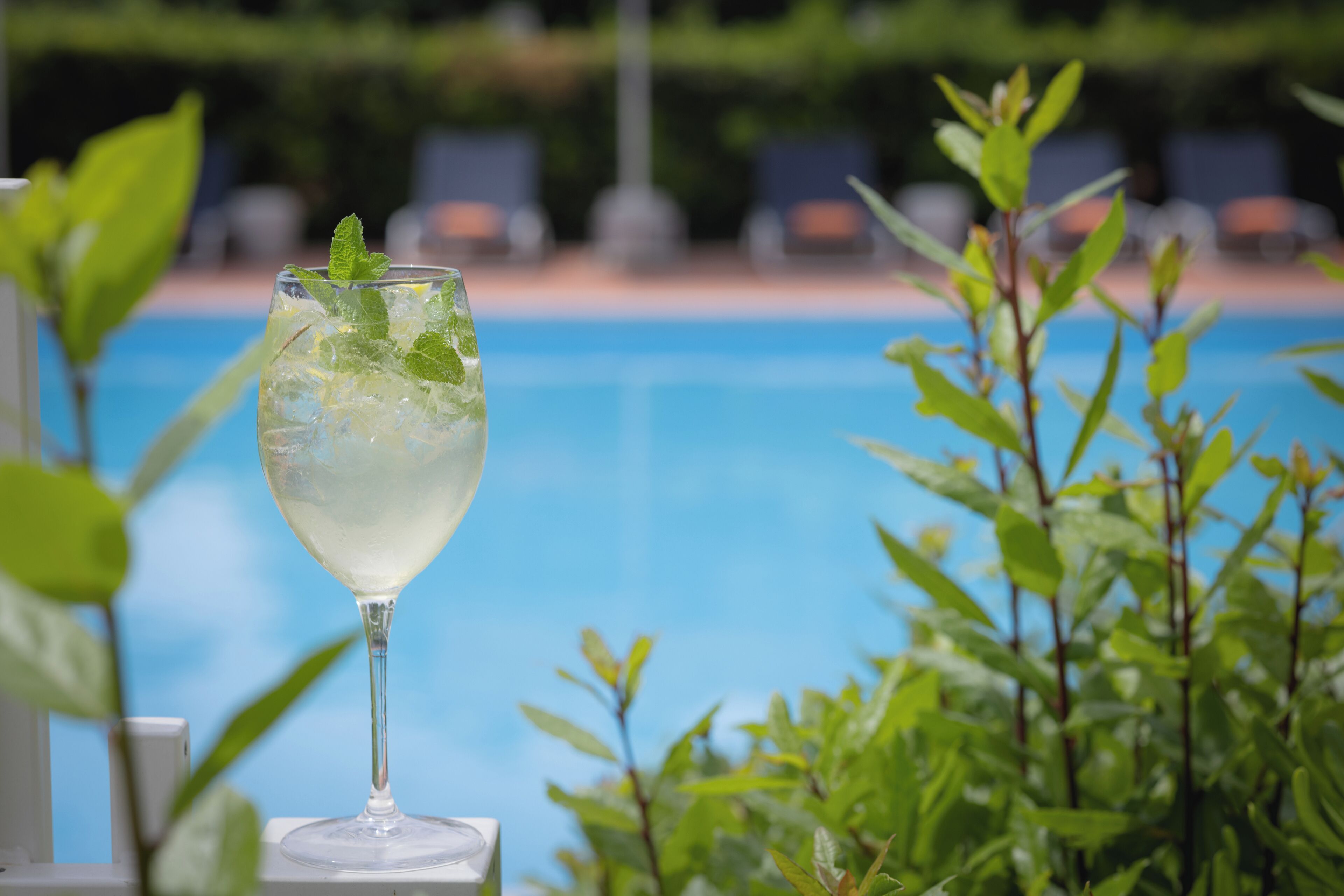 Un vaso de una bebida de color claro con hojas de menta, situado cerca de una piscina con vegetación y sillones de descanso al fondo.