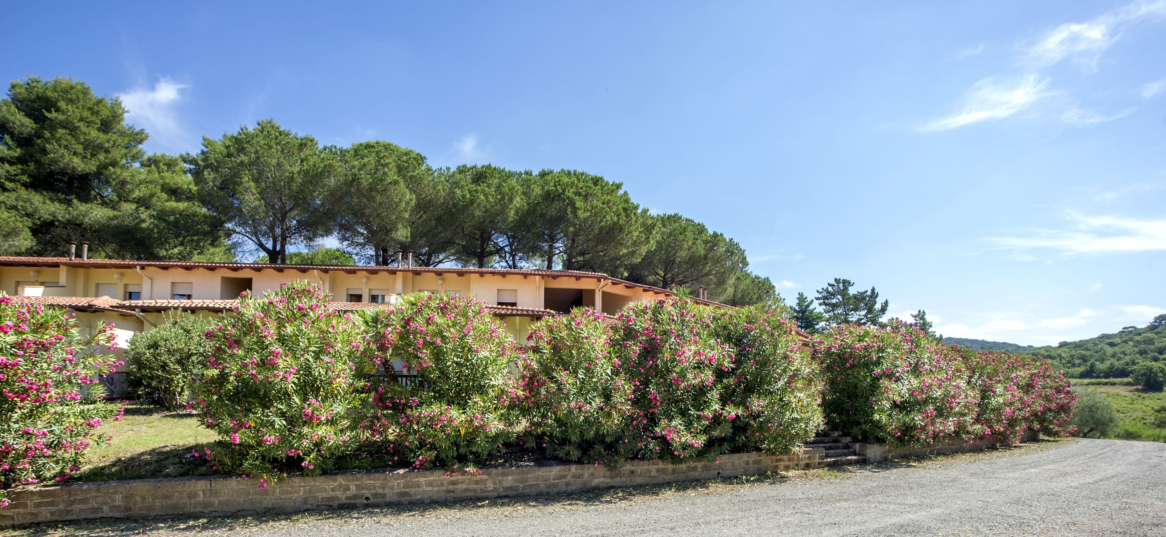 A building with a tiled roof, surrounded by flowering bushes and trees.