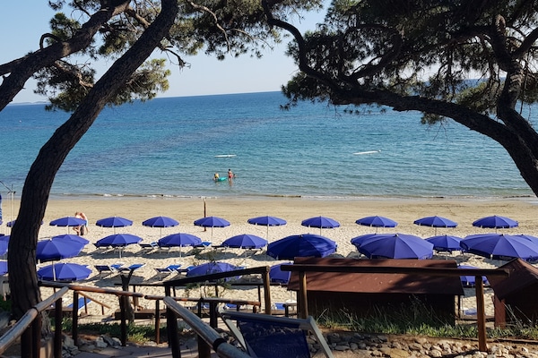 Private beach nearby, white sand, sun loungers, beach umbrellas