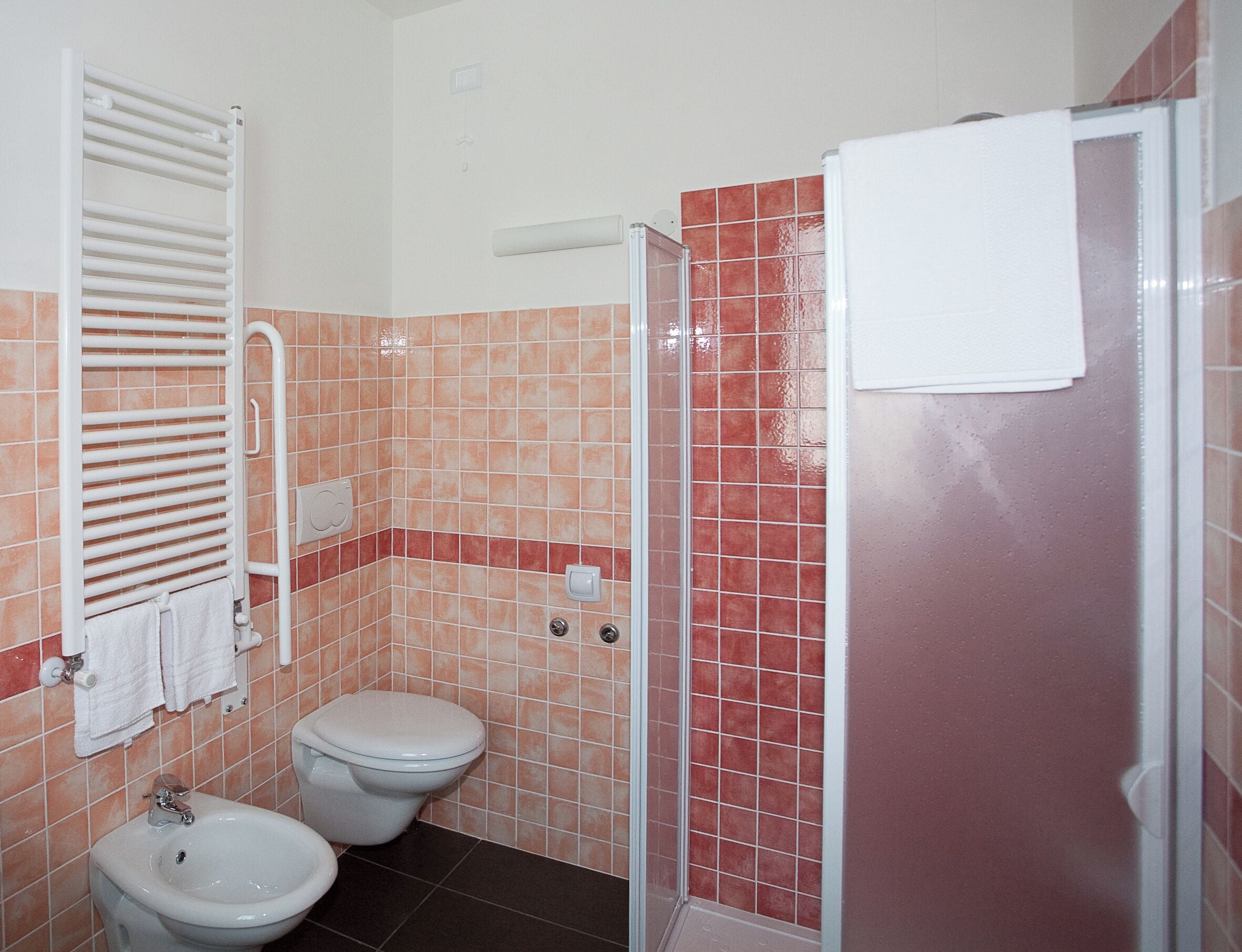 A bathroom with a toilet, bidet, and a shower area.