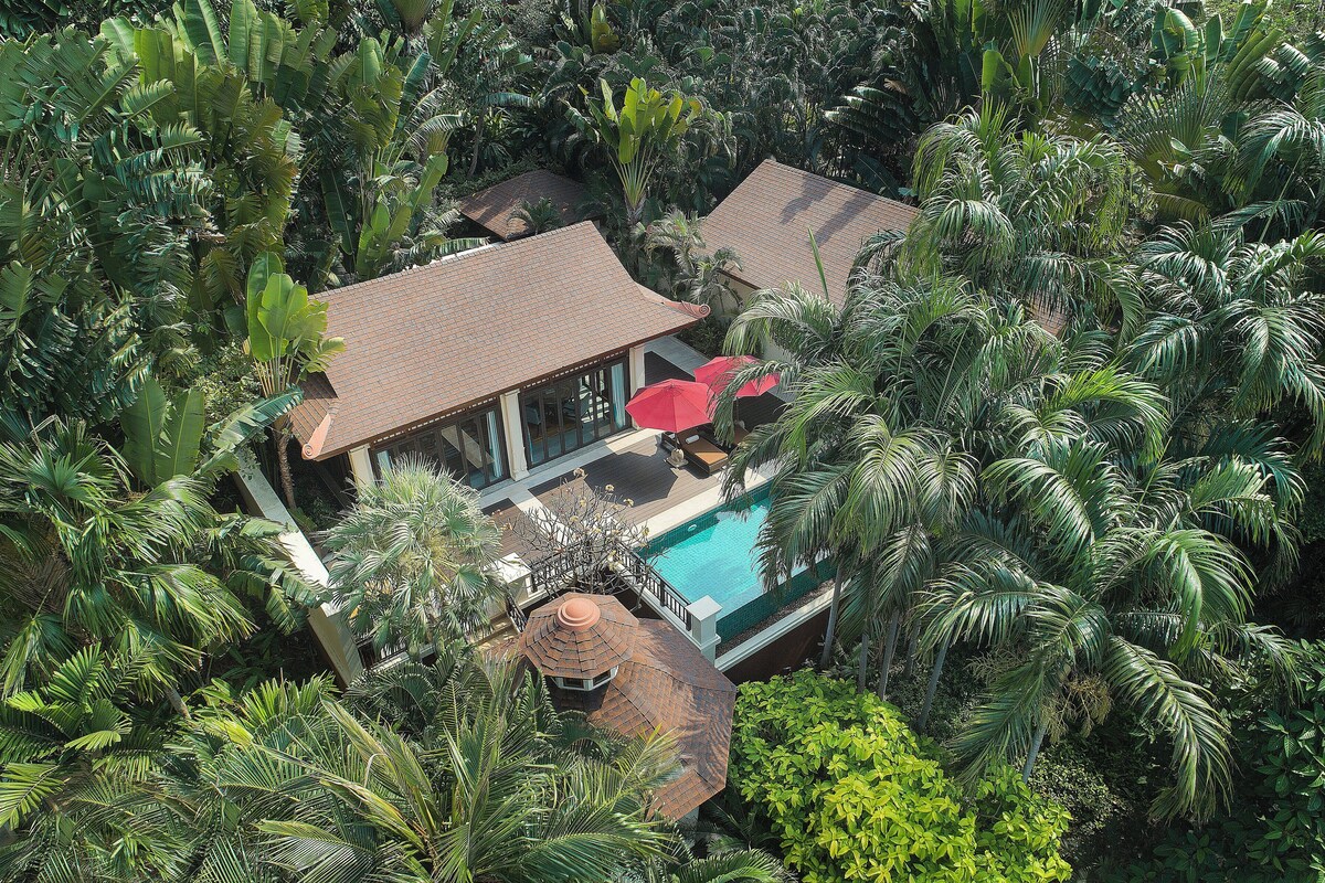 A resort with a swimming pool surrounded by lush tropical vegetation.