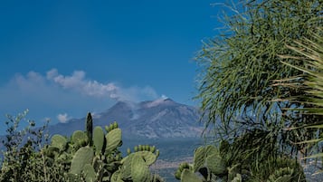Una montaña con cielo despejado y cactus en primer plano.