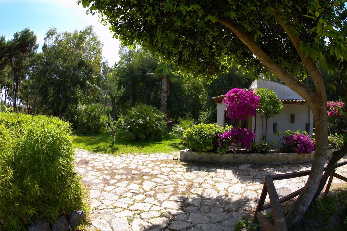 Un sendero de piedra que lleva a un edificio blanco adornado con buganvillas rosadas.