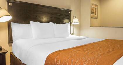 Comfort Inn & Suites LaGuardia Airport