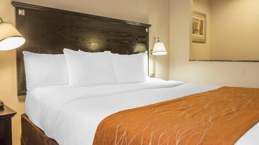 Comfort Inn & Suites LaGuardia Airport