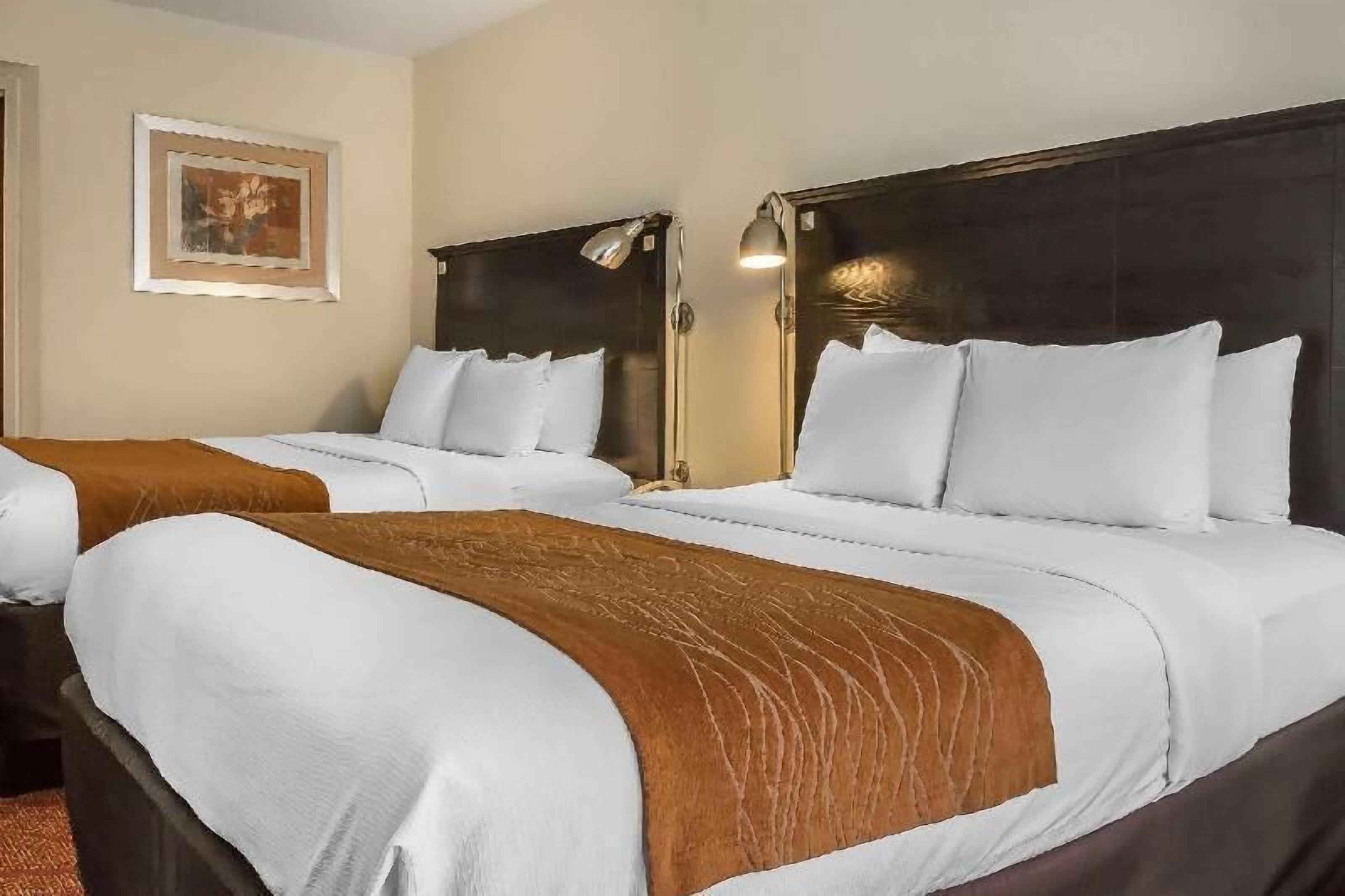 Ropa de cama de alta calidad, camas con pillow-top y escritorio 