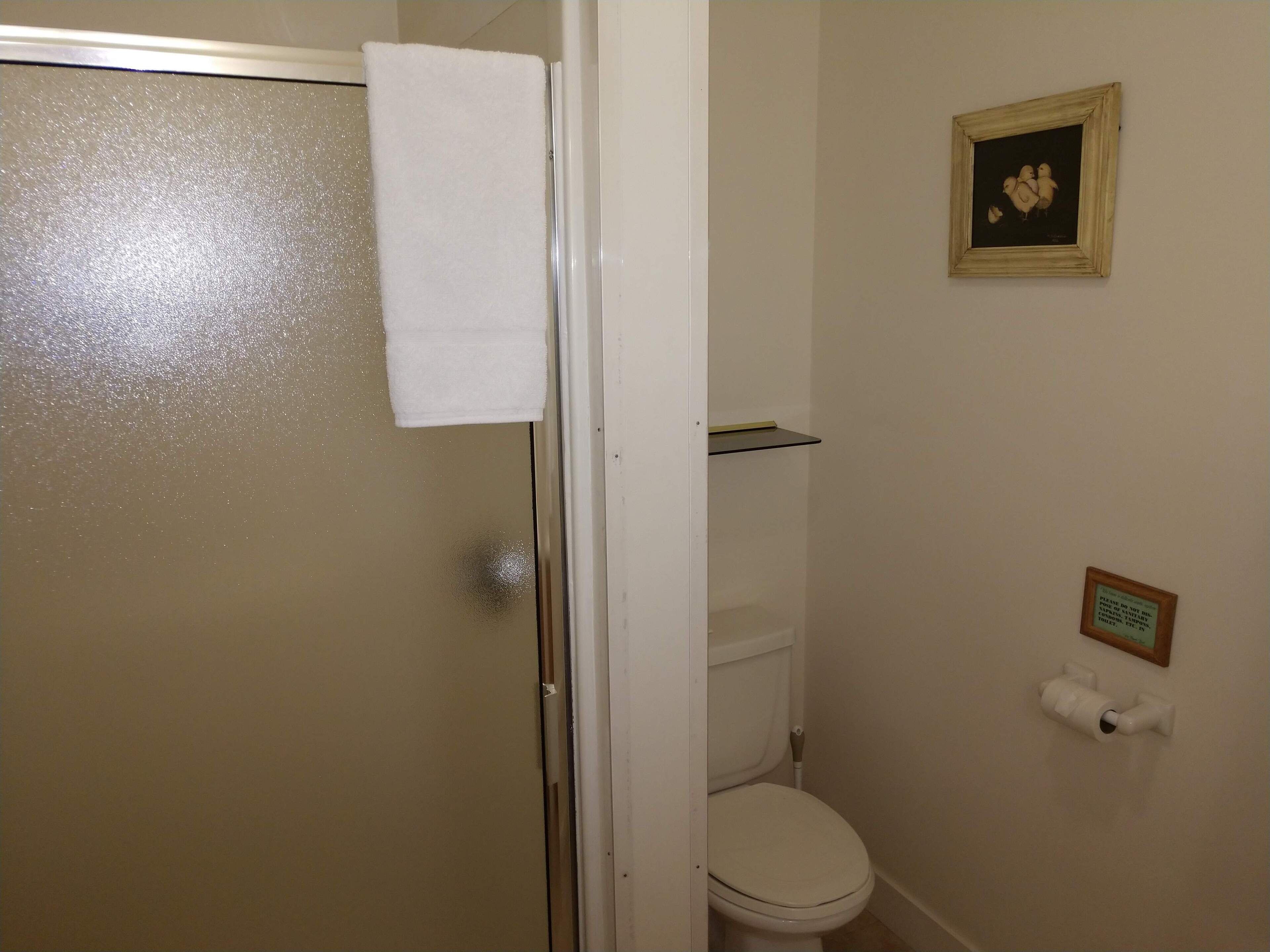 Um banheiro com vaso sanitário, toalha pendurada na porta, quadro na parede e porta-papel higiênico.