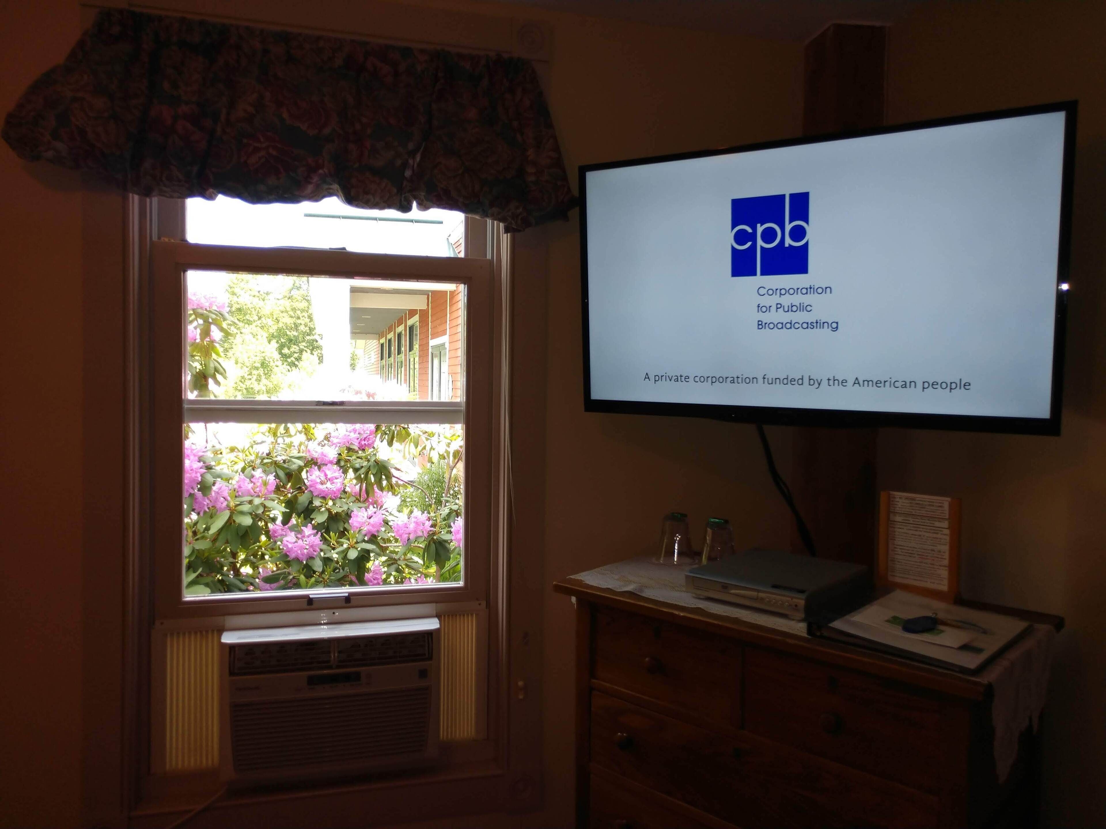 A television displaying the CPB logo, a window with a view of pink flowers, and a wooden dresser with a lamp and a small table.