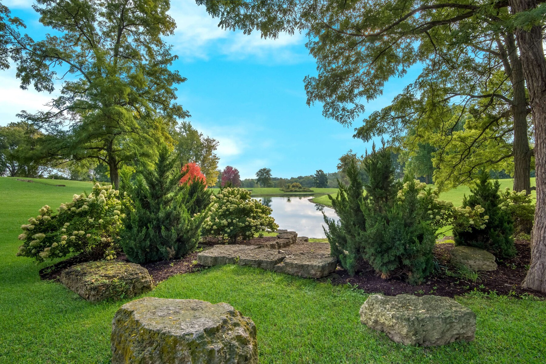 Garden view