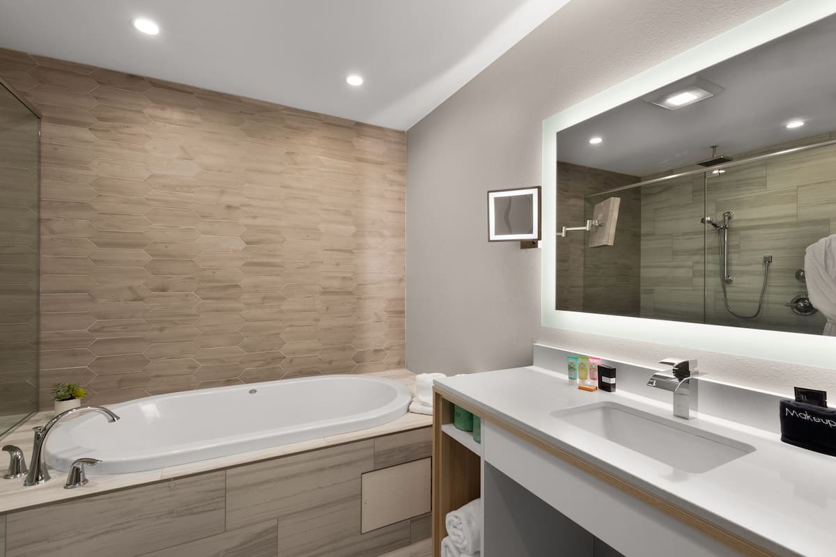 combined shower/bathtub, free toiletries, hair dryer, towels