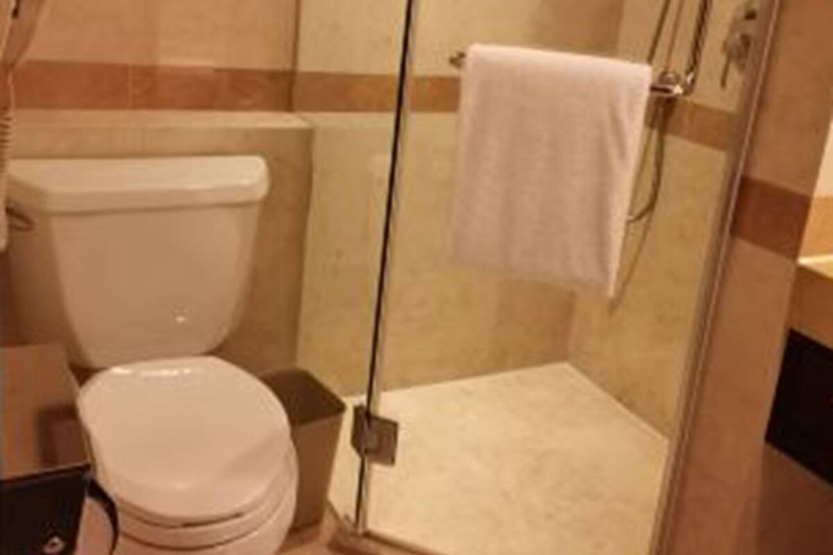 A bathroom with a toilet, a glass-enclosed shower, and a framed picture on the wall.