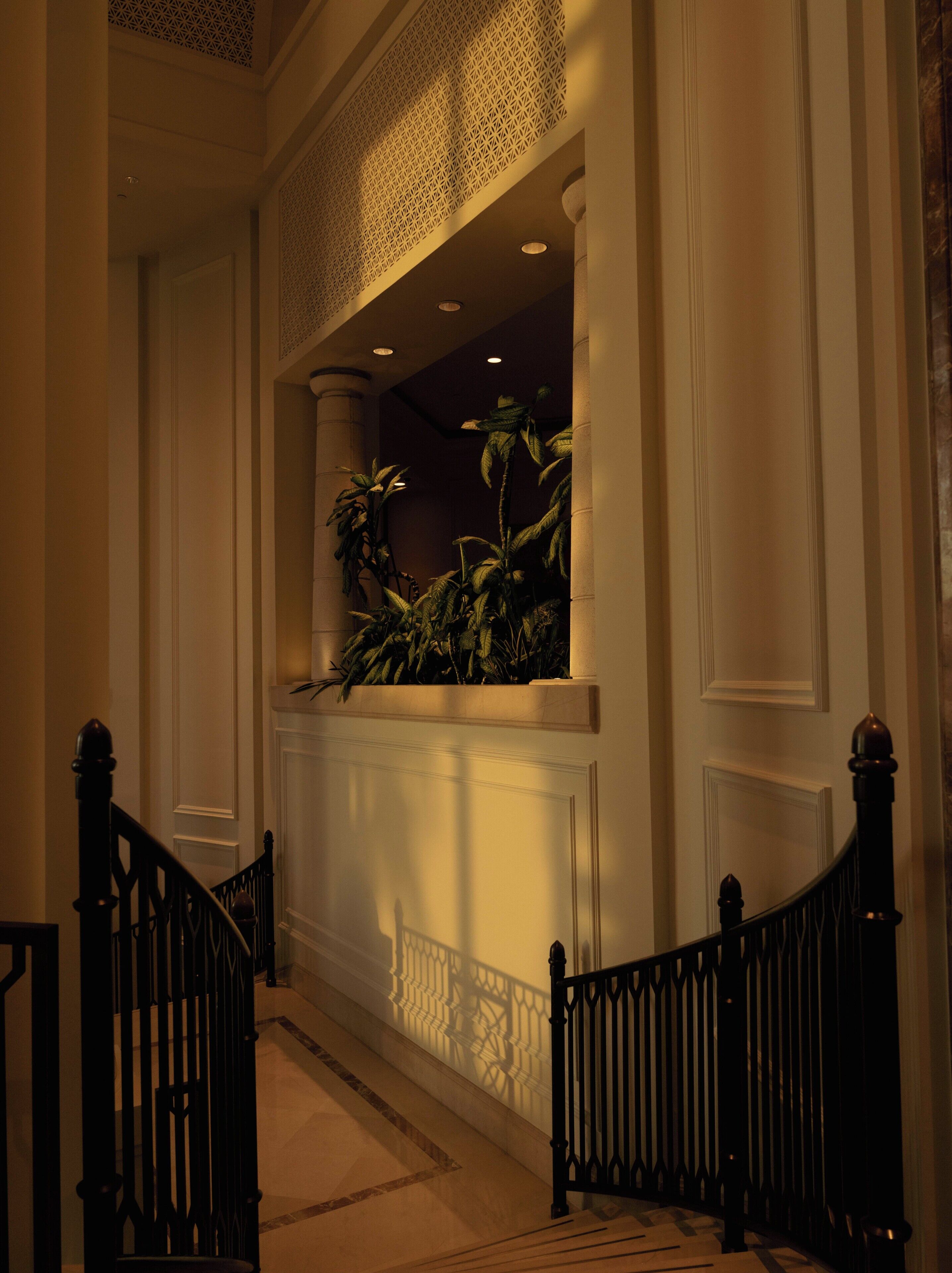 A hallway with a staircase, a decorative ceiling, and a plant in a planter.