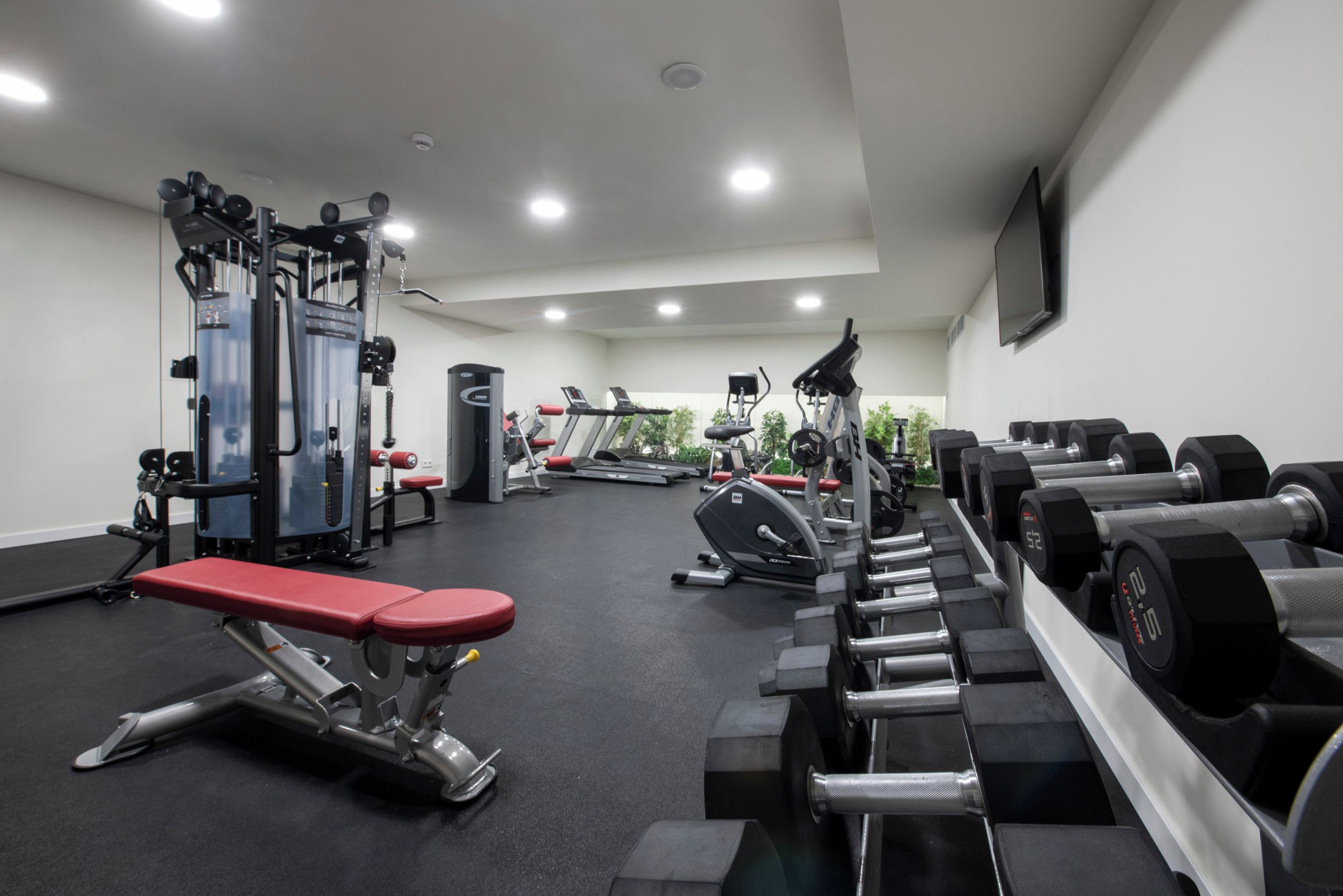 A gym with various exercise equipment, including treadmills, dumbbells, and weight machines.