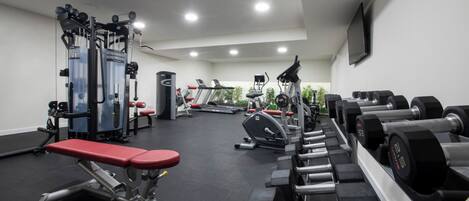 A gym with various exercise equipment, including treadmills, dumbbells, and weight machines.