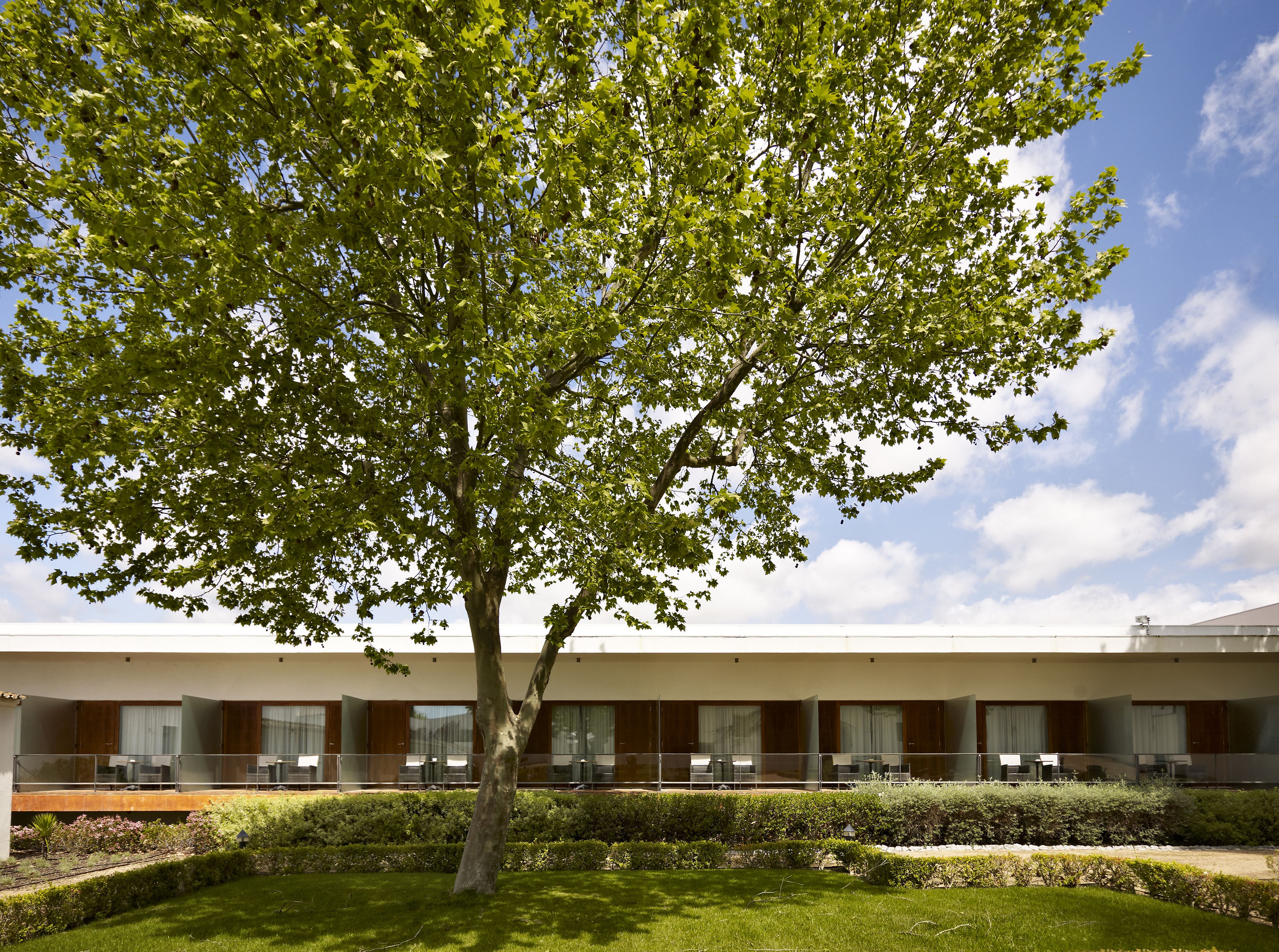 Deluxe Room | View from room