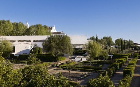 A formal garden with neatly trimmed hedges and a white building with a dome in the background.