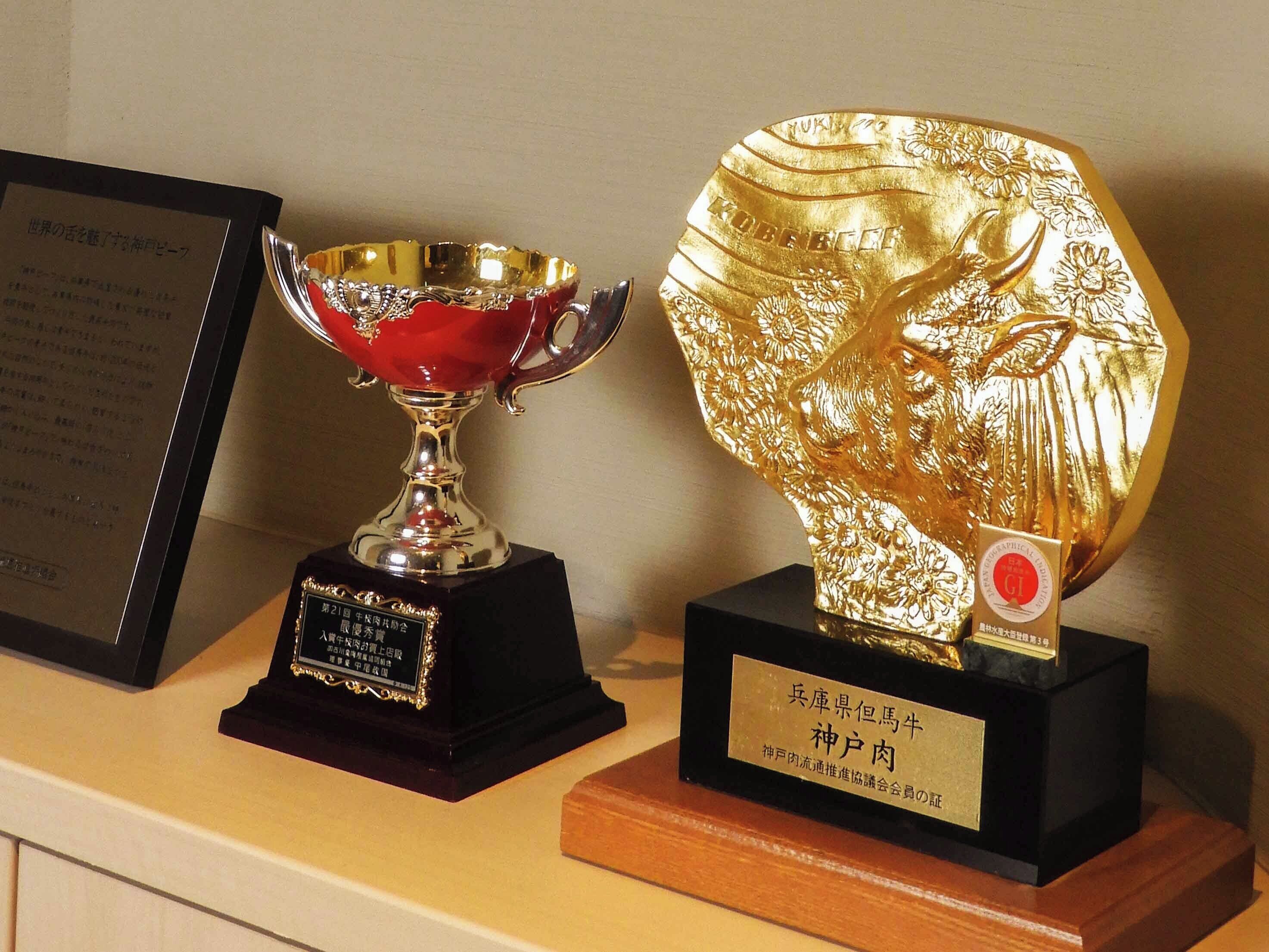 Two awards on display, one red and one gold, with plaques and text in a foreign language.