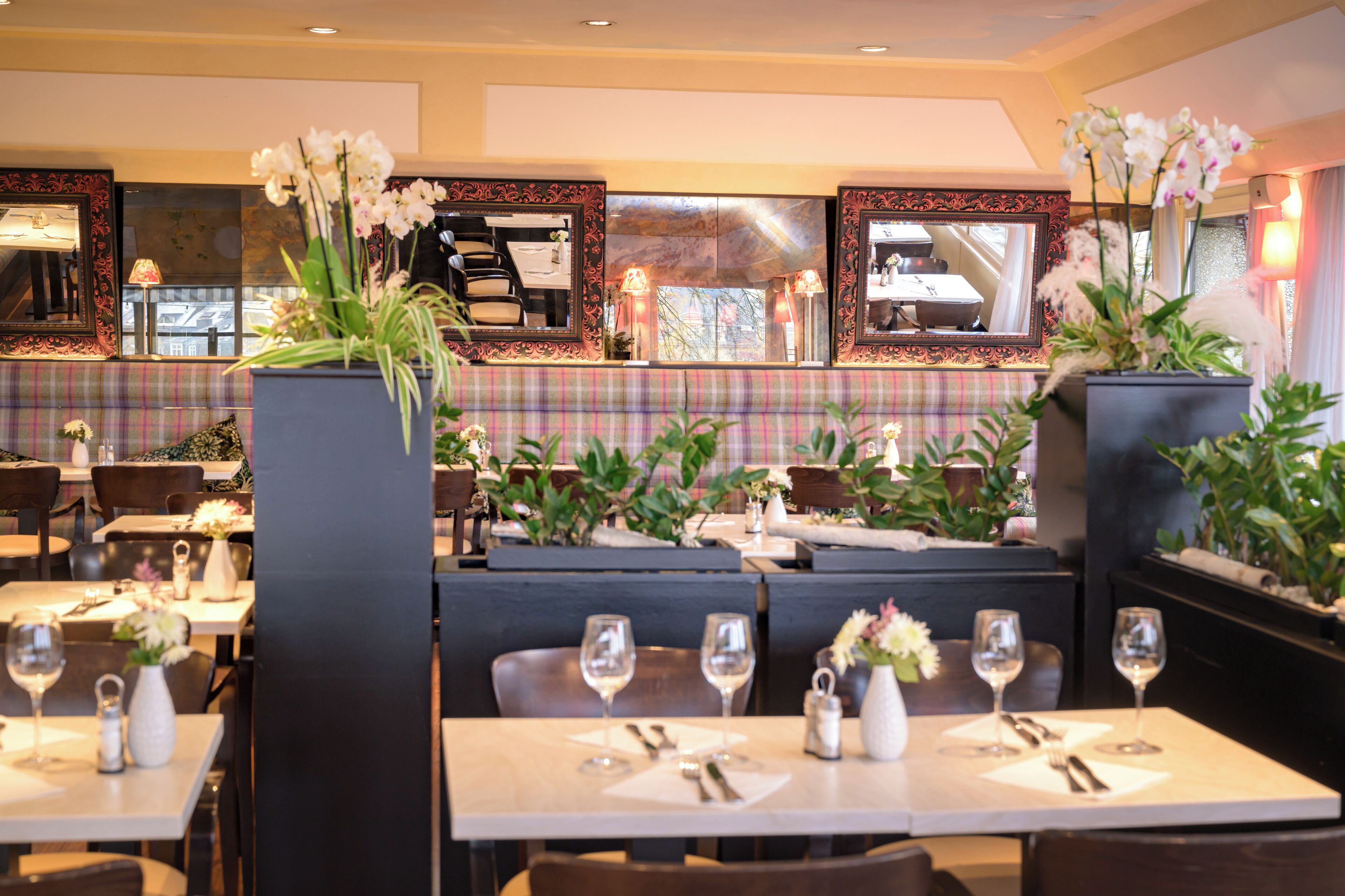 A restaurant with booths and tables, each with wine glasses and cutlery. There are potted plants and a plaid-patterned bench.