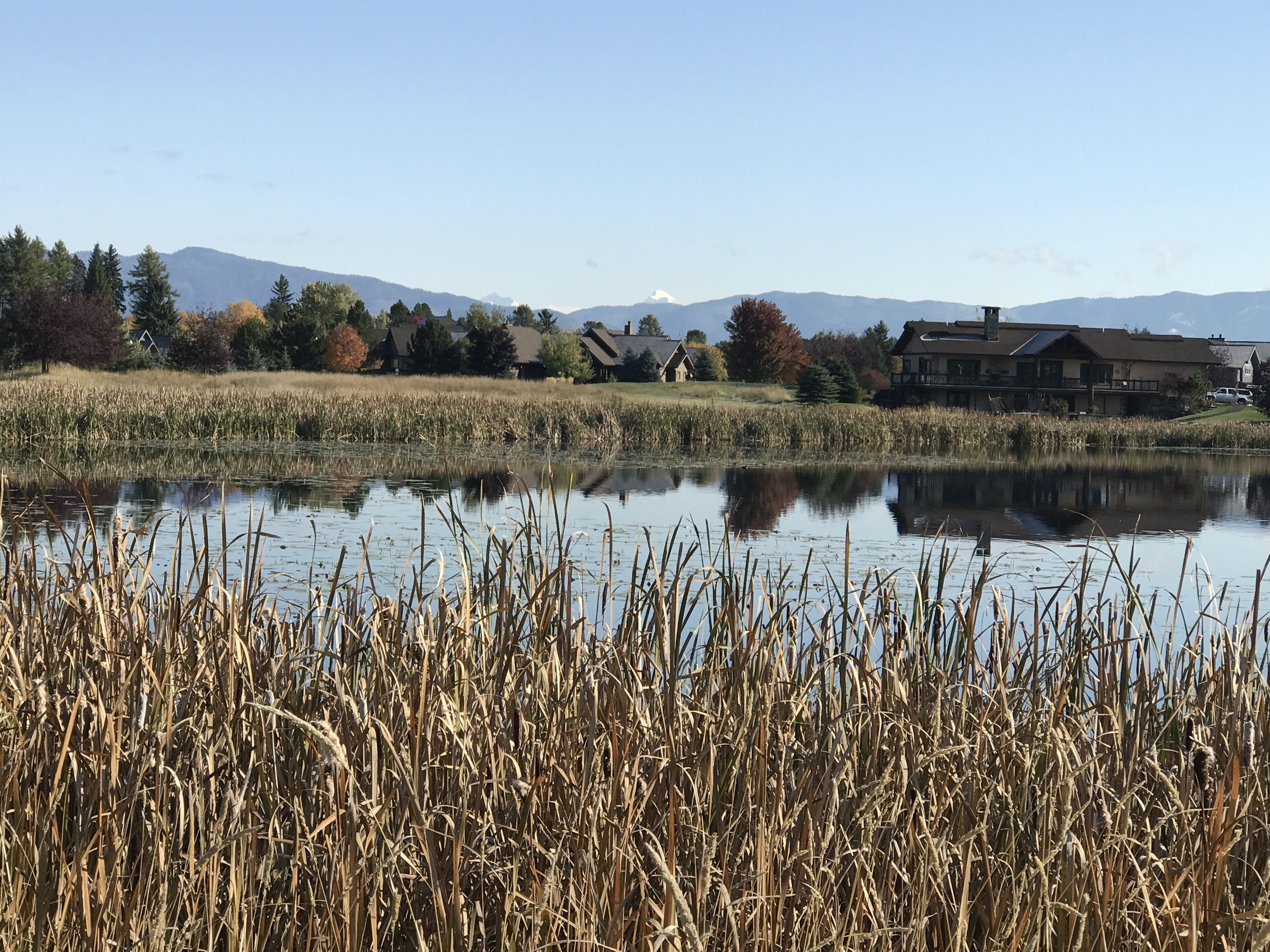 Una escena tranquila junto al lago, con una casa y un campo de pastos altos.