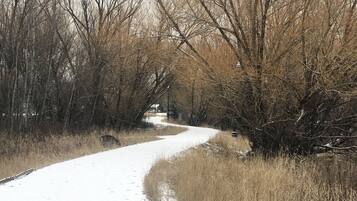 Un sendero cubierto de nieve en un área boscosa.