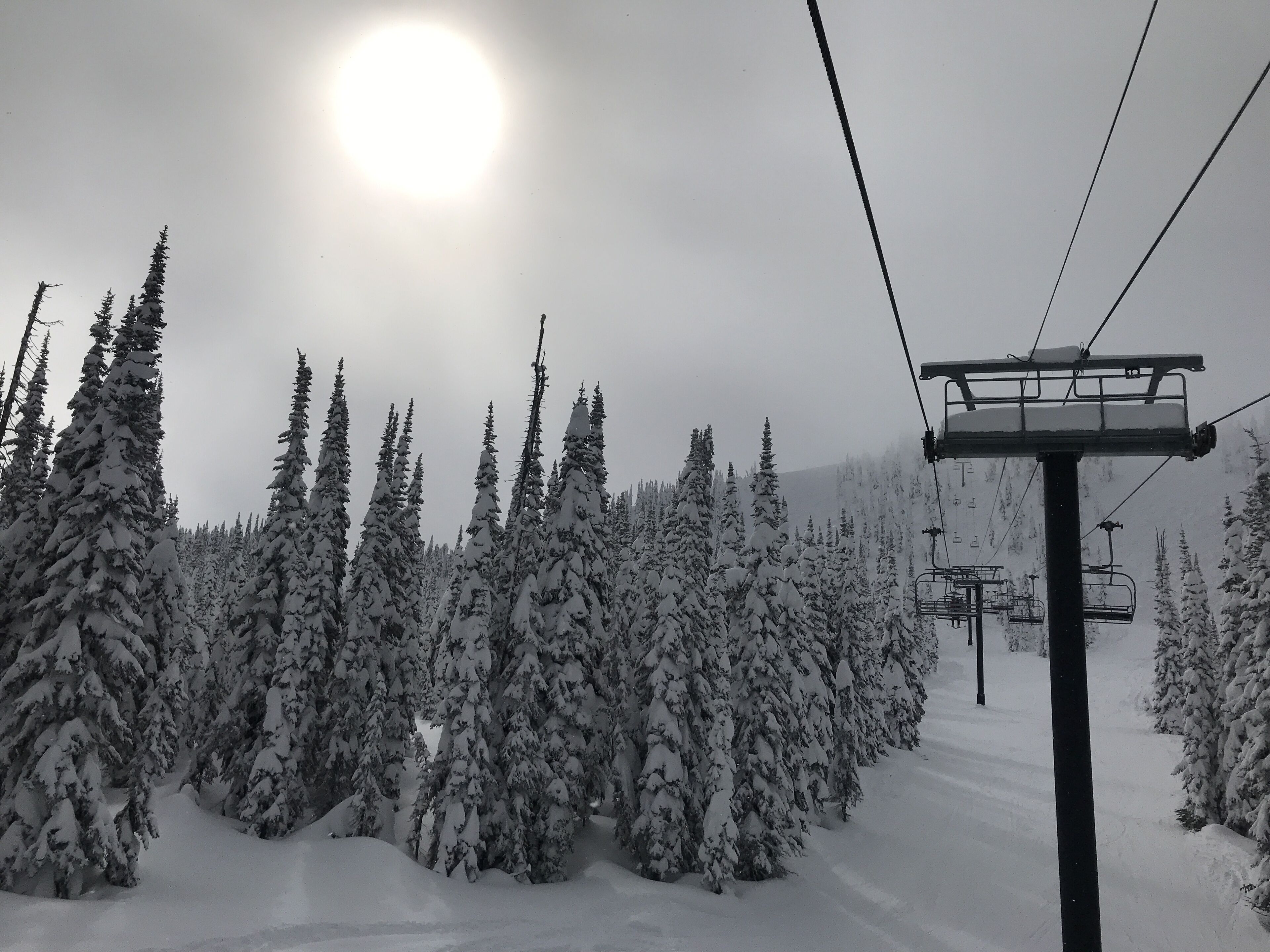 A snow-covered forest with a ski lift in the background.
