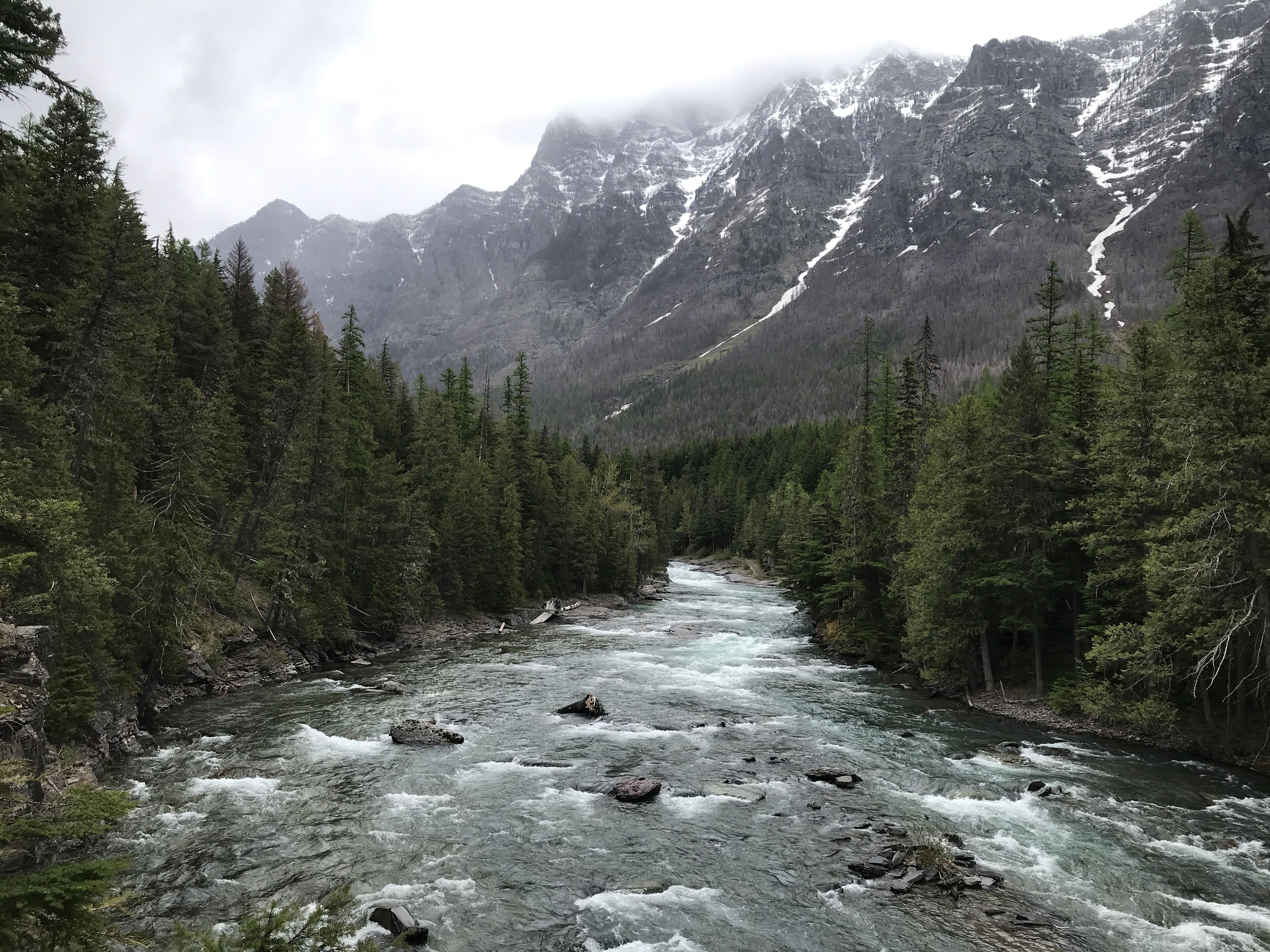 Un río serpenteando por un bosque con montañas al fondo.