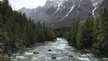 Un río serpenteando por un bosque con montañas al fondo.