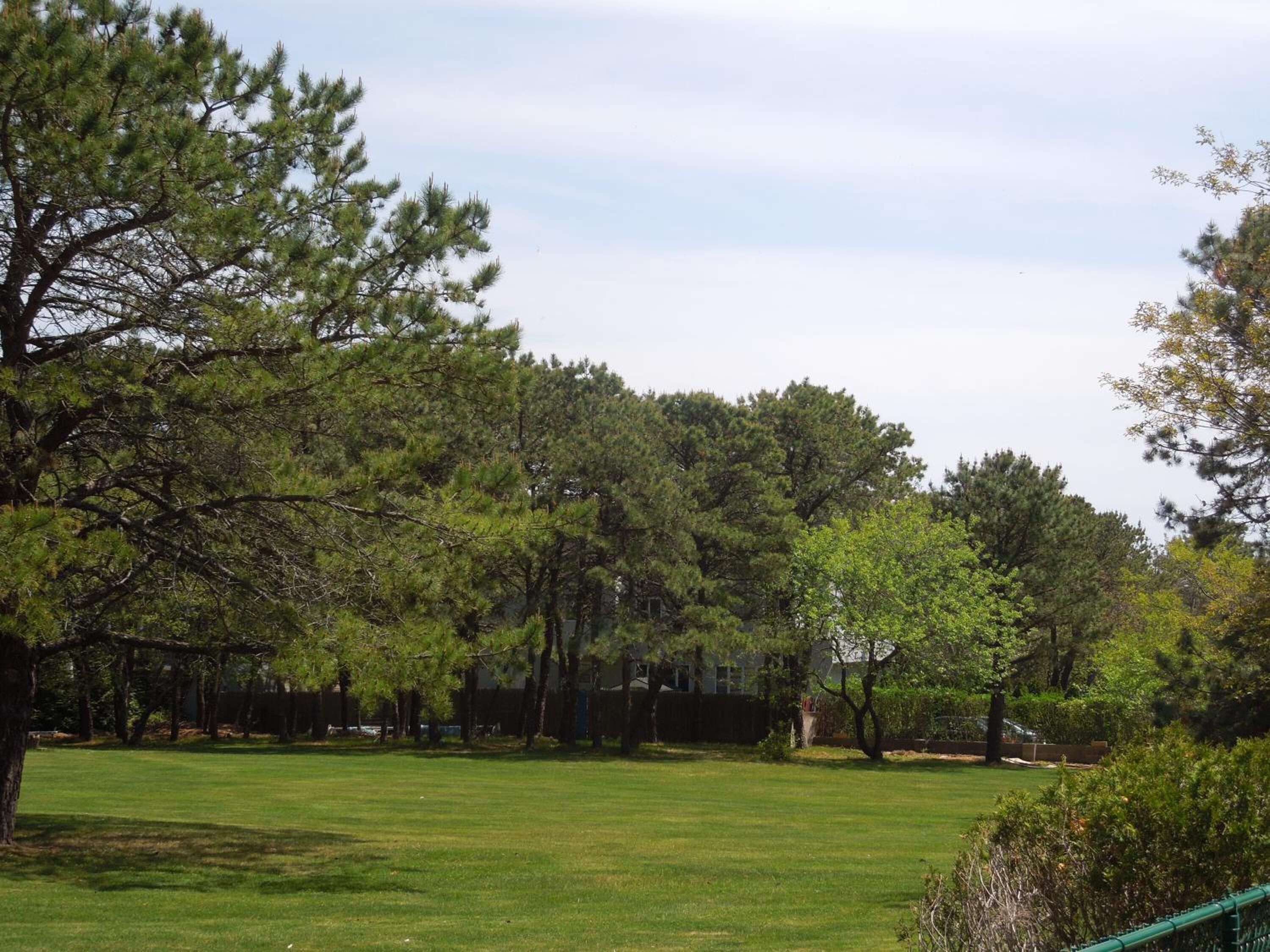 A grassy field with trees and a fence.